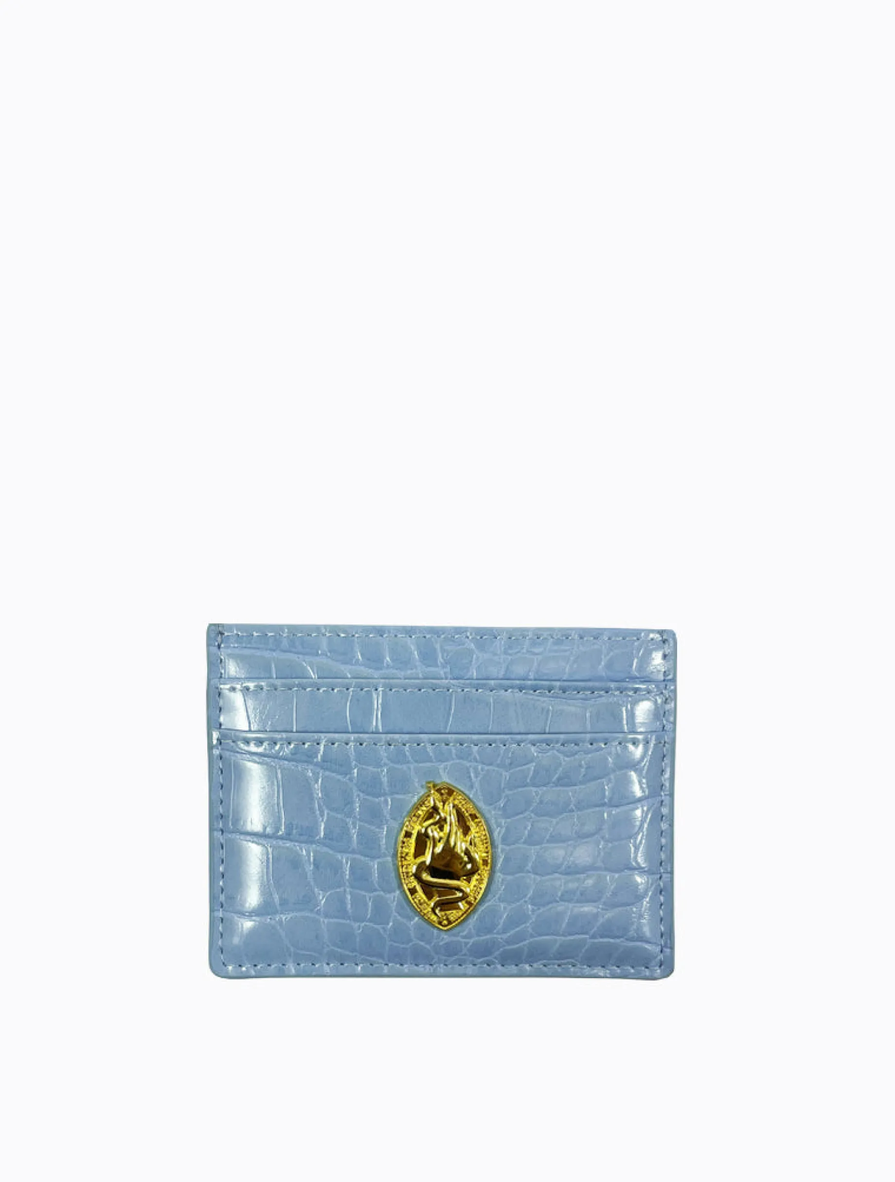 Card Holder - Sky Blue