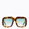 Niro - Torti/Green Gradient