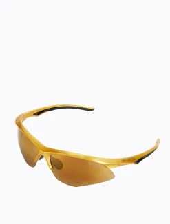 Rossi Speedway - Gold