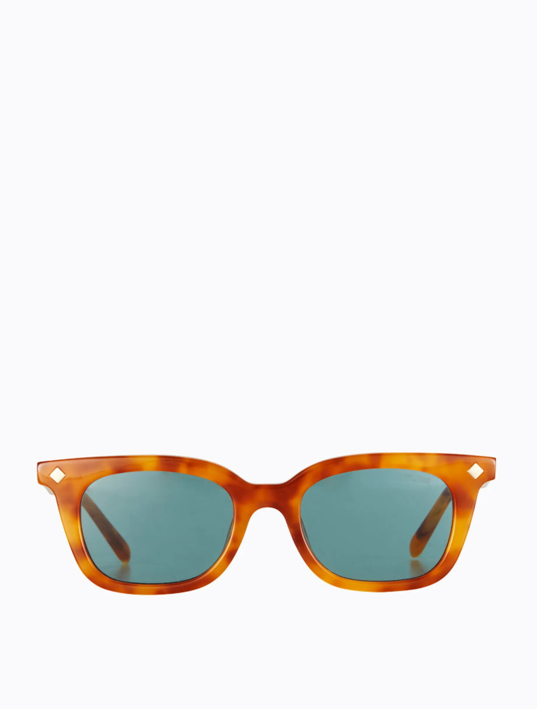 Vinny - Orange Torti/Teal